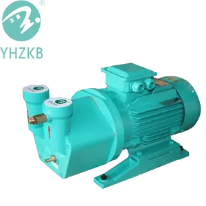 YHZKB Liquid ring vacuum pump used in pharmacy similar to NASH