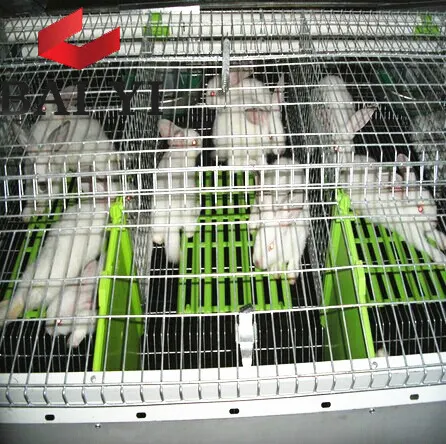 खरगोश खेत बिक्री के लिए वाणिज्यिक खरगोश पिंजरों, सस्ते जस्ती वेल्डेड खरगोश पिंजरे तार जाल