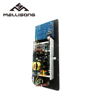 Modul Papan Amplifier Kelas D Speaker Aktif Audio Daya Digital Berkualitas Tinggi dengan Sertifikasi CE ROHS