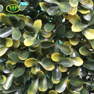Haie artificielle Location de Mur En Plastique Buis <span class=keywords><strong>Avenue</strong></span> - Product Image 5