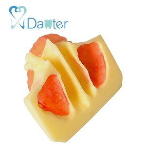 A2012 Tốt Nhất Bán Xoang Nâng Thực Hành Mô Hình Nhựa Silicone Nha Khoa Răng Nghiên Cứu Mô Hình Cho Các Nha Sĩ - Product Image 4