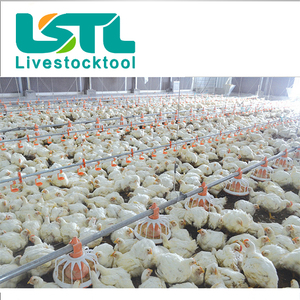 Línea de alimentación de aves de corral, sistema automático de alimentación y bebedero para <span class=keywords><strong>pollos</strong></span> - Product Image 4