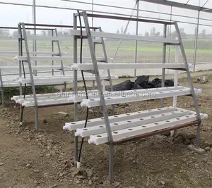 アリババ中国サプライヤー卸売水耕温室農業用プロジェクト
