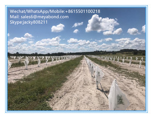 Chống Côn Trùng Lưới Cho Orchard Trái Cây Fly Lưới Túi/Vườn Ươm Cây Trái Cây Túi - Product Image 2