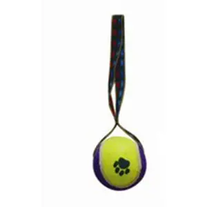 Honden Mini Tennisbal Vorm Hond Kleine Speelgoedbal Met Touw Hond Gooi Producten