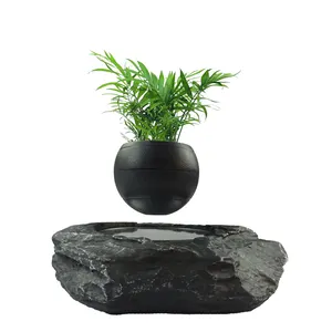 New design magnetic floating air plants bonsai Table decoration from HCNT