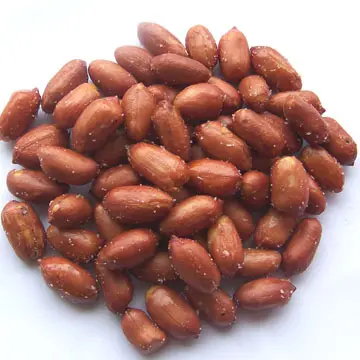 Snack sain aux noix Bière Cacahuètes Collations de loisirs de Youi Foods