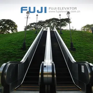فوجي مصنع المصعد الاحترافي سعر جيد داخلي في الهواء الطلق السلالم المتحركة التجارية في الصين