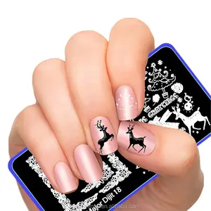 Nail Products Nail Art Polish Stamp Template Manicure Tools Nail Stamping Kit/stamper Scraper