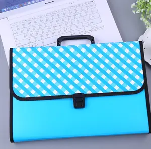 High quality cheap a4 size plastic handle expanding file folder