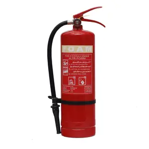 Reliable Chinese supplier bracket 4kg foam portable fire extinguisher