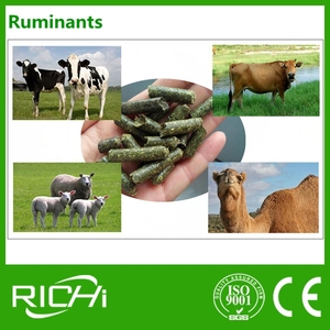 RICHI Usine <span class=keywords><strong>de</strong></span> granulés <span class=keywords><strong>de</strong></span> conception libre pour paille riz balle luzerne <span class=keywords><strong>chanvre</strong></span> luzerne ligne <span class=keywords><strong>de</strong></span> granulés moulin à granulés pour les ventes - Product Image 6