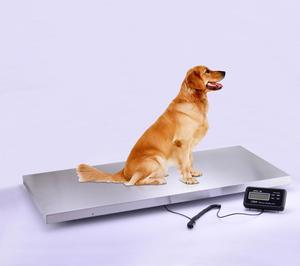 Bonne Qualité Plate-Forme En Acier Inoxydable Étage Lourd Poids Vétérinaire Échelles pour Animaux Pet ou Postal Pesant - Product Image 1