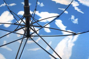 Doble capa interior azul cielo impresión rodando paraguas <span class=keywords><strong>palo</strong></span> de madera - Product Image 4