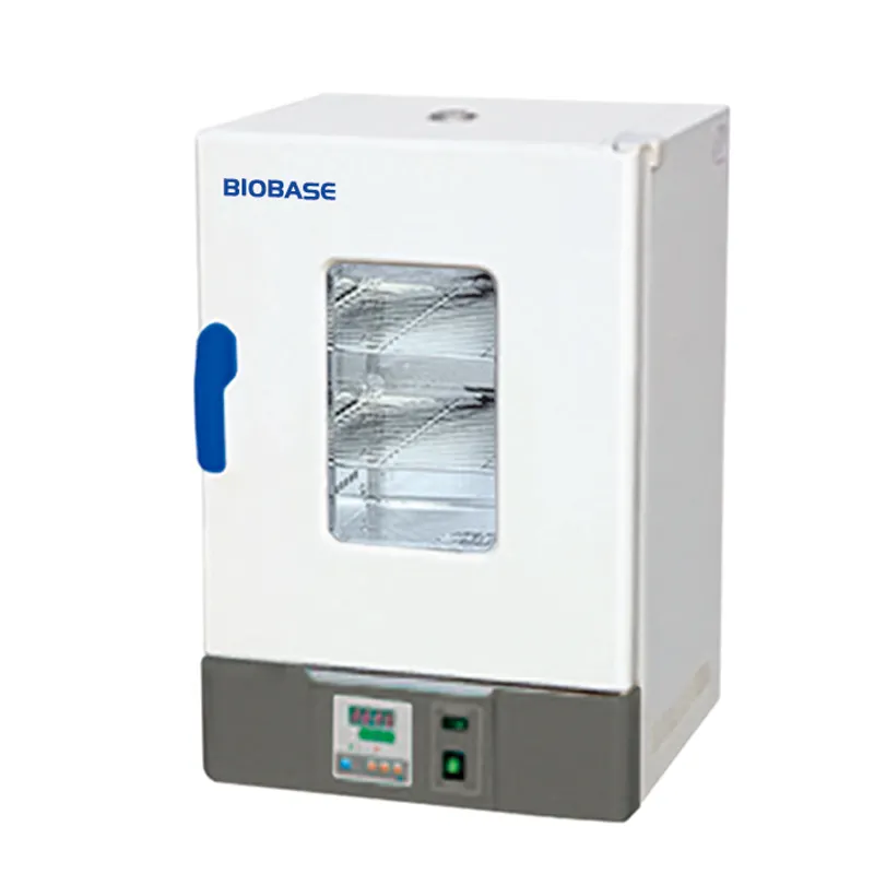 BIOBASE Vertical Forced Air Drying Oven