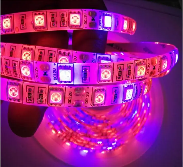 屋内水耕温室フルスペクトル植物ランプ電球ストリップLed Grow 12v/24vLed Grow Strip Light Red Blue 3:1 4:1 5:1