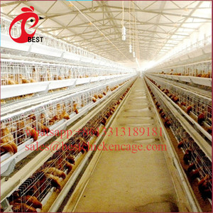 <span class=keywords><strong>Cages</strong></span> à poulet automatique, 1,5 flambant neuves, <span class=keywords><strong>cages</strong></span> en serre, utilisé pour les poules, vente en gros - Product Image 4