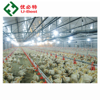 Fournisseur d'usine en Chine, équipements automatiques d'alimentation et d'abreuvement pour animaux, pour l'élevage de poulets de chair