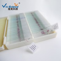 100 Sliced Prepared Slides for Histology Biological Tissue Microscope Slides Biology Slides