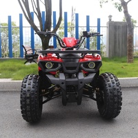 Quad de Course Tao Motor pour Enfants Moteur Essence 125CC Transmission Automatique Démarrage Électrique Transmission par Chaîne 2x2