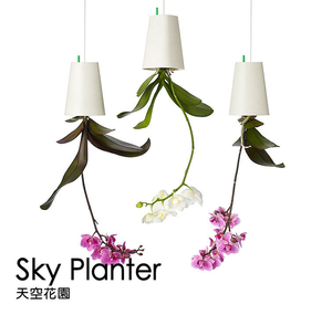 2016 Sky Planter <span class=keywords><strong>maceta</strong></span> decorativa planta de <span class=keywords><strong>maceta</strong></span>, de Color brillante <span class=keywords><strong>maceta</strong></span>, barato plástico macetas - Product Image 2