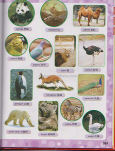 Dictionnaire illustré utile pour les enfants apprenant les <span class=keywords><strong>mots</strong></span> chinois et anglais - Product Image 4