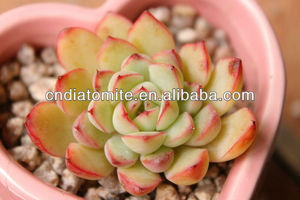 diatomit toprak düzenleyicisi üstün olduğuna kil ürünleri Bonsai yüzey - Product Image 6