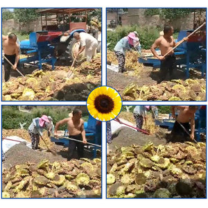 Macchina Separatrice di <span class=keywords><strong>Semi</strong></span> di Girasole per Conducenti di Trattori, Macchina per la Raccolta e la Decorticazione dei <span class=keywords><strong>Semi</strong></span> di Girasole - Product Image 3