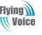 Beijing Flyingvoice Technology Ltd.