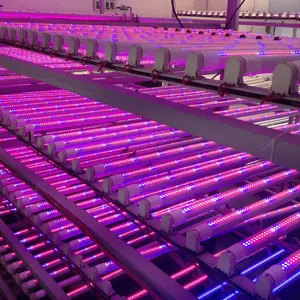 2023 New technique 15W 18W T8 Blue/red plant grow led bar/tube Full Spectrum greenhouse flower growing Plant Grow led light