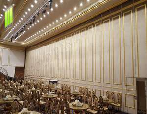 <span class=keywords><strong>Arabia</strong></span> Saudita de paneles de pared para salón de hotel corredera de pared de partición en China salón de Bodas de pared de partición - Product Image 5