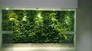LSD-160416853 glicinas planta Artificial hojas de vid verde colgante de pared al por mayor - Product Image 3