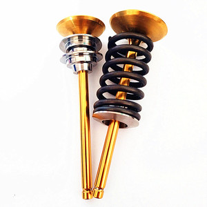 Set Valvole Motore Oversize Serie Performance Sinus Adatto per Motore 1.6 <span class=keywords><strong>16v</strong></span> TU5J4 Citroen <span class=keywords><strong>Saxo</strong></span> <span class=keywords><strong>VTS</strong></span> e Peugeot 106 - Product Image 1