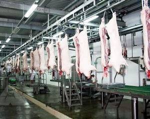 Slaughterhouse thiết bị và các công cụ bằng thép không gỉ thịt thịt móc treo pig - Product Image 4
