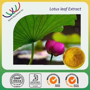 Kostenlose proben lotusblatt-extrakt nuciferin, 1% 2% nuciferin pulver lotusblatt extrakt lieferant - Product Image 3