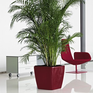 Petit, moyen et grand <span class=keywords><strong>pot</strong></span> <span class=keywords><strong>de</strong></span> fleurs carré en plastique et pots <span class=keywords><strong>de</strong></span> plantes auto-arrosants pour bureau, bureau, sol et jardin - Product Image 3