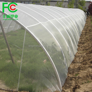 Feuille de plastique d'épaisseur 0,15 mm, couverture de serre, <span class=keywords><strong>film</strong></span> PE transparent - Product Image 3