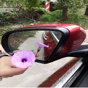 A prueba de lluvia <span class=keywords><strong>MeCar</strong></span> Wing View Mirror película protectora Universal Auto Anti niebla a prueba de lluvia espejo retrovisor ventana película protectora transparente - Product Image 1