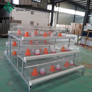 Produttore di Un tipo 216 capacità pulcini <span class=keywords><strong>cage</strong></span>, rendere la vostra gestione più facile - Product Image 3