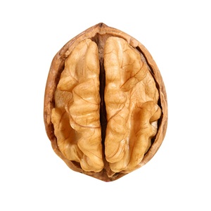 Toàn Bộ Óc Chó Chất Lượng Cao Của Trung Quốc Trong Vỏ, Hạt Óc Chó - Product Image 6