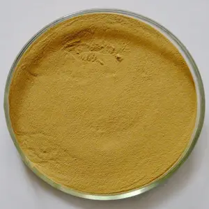 Pure Natuurlijke Plantaardige Extract Gember Extract 84696-15-1