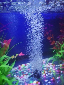 Ecologische glazen microbellen kleine pellet luchtstenen 20/22mm voor <span class=keywords><strong>aquarium</strong></span> diffuser viskwekerij hydrocultuur - Product Image 6