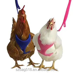 Certificat ISO9001 usine fournisseur chinois harnais de poulet pour animaux de compagnie en gros