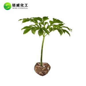 Pur Naturel Poudre De Glucomannane De <span class=keywords><strong>Konjac</strong></span> Extrait De Racine De <span class=keywords><strong>Konjac</strong></span> Fournisseur - Product Image 4
