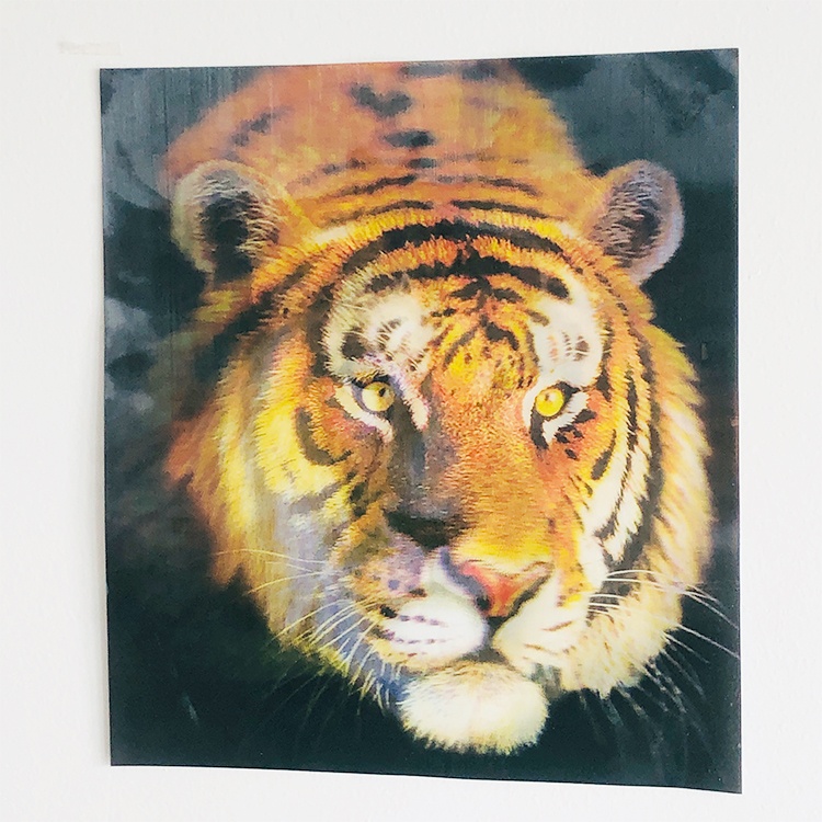 Лидер продаж с завода, 3D ТПУ, оригинальное 3d линзовидное искусство