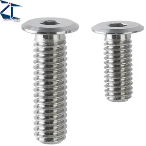 Professional Hexagon Torx Ultra Low Head Socket Screw