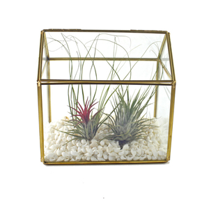 Handgemachtes Polieren klare einzigartige Glas vasen Glaster rarium mit Deckel - Product Image 2