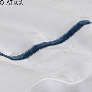 Bộ Chăn Ga Gối 6 Món Bằng Vải Lanh Ai Cập Màu Trắng - Product Image 5