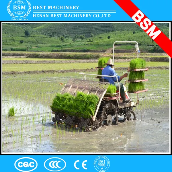 Transplantador de arroz de 8 filas, 238mm de ancho, con nuevo flotador de plántulas de plástico