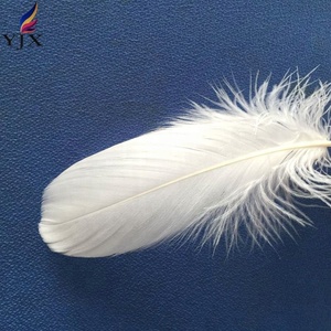 Bán buôn đầy màu sắc 8-13cm tự nhiên số lượng lớn lông ngỗng cho phụ kiện tự làm - Product Image 5